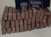 guarda-municipal-apreende-29-kg-de-maconha-na-rodovia-do-acucar-em-capivari;-suspeito-foi-preso