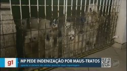 videos:-eptv-2-piracicaba-desta-quinta-feira,-4-de-maio