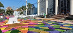 fieis-se-unem-para-confeccao-de-tapetes-de-corpus-christi-em-piracicaba;-veja-fotos