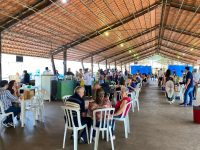 feira-vegana-e-agroecologica-tem-oficina-de-compostagem-e-festa-junina-em-piracicaba