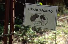 grama-baixa-e-carrapaticida:-saiba-como-fazenda-da-usp-fez-controle-da-febre-maculosa-em-piracicaba