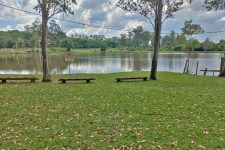 horto-florestal-de-limeira-e-fechado-para-controle-de-carrapatos-e-outras-pragas