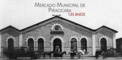 serie-de-reportagens-do-g1-revela-historias-sobre-os-135-anos-do-mercado-municipal-de-piracicaba