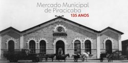 como-era-o-mercado-municipal-de-piracicaba-ha-135-anos?-simulacao-3d-revela-interior-do-predio-original