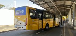 onibus-do-transporte-publico-de-limeira-circulam-com-identificacao-apagada-nas-placas-e-descumprem-codigo-brasileiro-de-transito